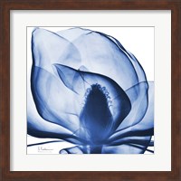 Indigo Magnolia Fine Art Print