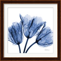 Indigo Stunning Tulips Fine Art Print