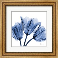 Indigo Stunning Tulips Fine Art Print