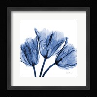 Indigo Stunning Tulips Fine Art Print