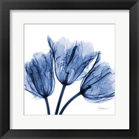 Indigo Stunning Tulips Fine Art Print