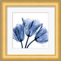 Indigo Stunning Tulips Fine Art Print