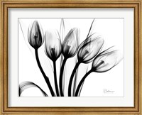 Marching Tulips Fine Art Print