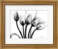 Marching Tulips Fine Art Print