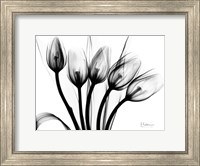 Marching Tulips Fine Art Print