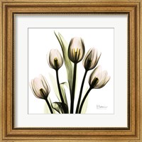 Tulip Fine Art Print