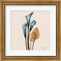 Calla Lily Blue Brown Fine Art Print