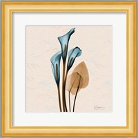 Calla Lily Blue Brown Fine Art Print