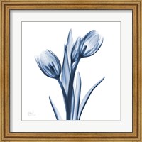 Tulips Indigo Fine Art Print