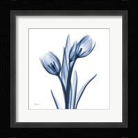 Tulips Indigo Fine Art Print