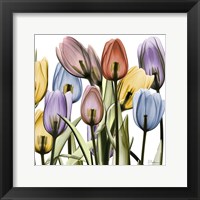 Tulipscape Fine Art Print