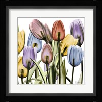Tulipscape Fine Art Print