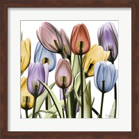 Tulipscape Fine Art Print