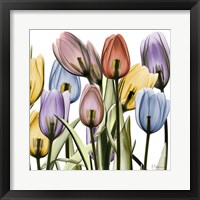 Tulipscape Fine Art Print