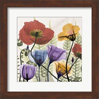 Flowers And Ferns Fine Art Print