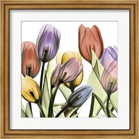 Tulipscape 2 Fine Art Print