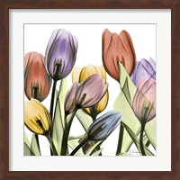 Tulipscape 2 Fine Art Print