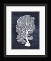 Sea Fan 1 Fine Art Print