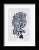 Sea Fan 2 Fine Art Print
