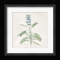 Blue Botanical 1 Fine Art Print