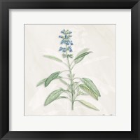 Blue Botanical 1 Framed Print