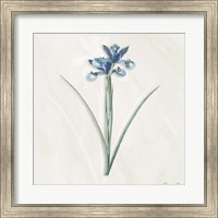 Blue Botanical 2 Fine Art Print