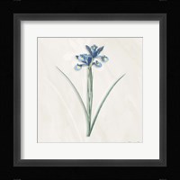 Blue Botanical 2 Fine Art Print