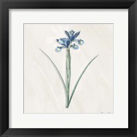 Blue Botanical 2 Framed Print