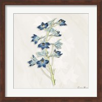 Blue Botanical 3 Fine Art Print