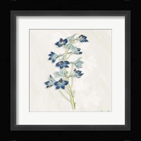 Blue Botanical 3 Fine Art Print