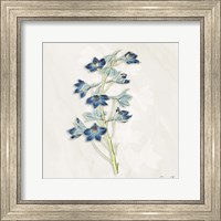 Blue Botanical 3 Fine Art Print