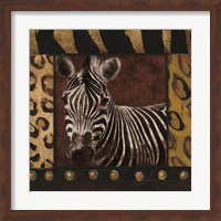 Zebra bordered Fine Art Print