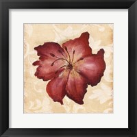 Red Flower 1 Fine Art Print