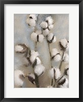 Sprays of Cotton 1 Fine Art Print