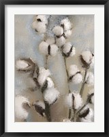 Sprays of Cotton 1 Fine Art Print