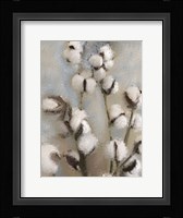 Sprays of Cotton 1 Fine Art Print