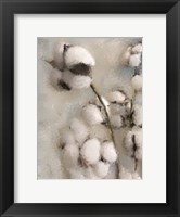 Sprays of Cotton 2 Fine Art Print