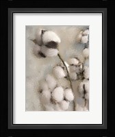 Sprays of Cotton 2 Fine Art Print