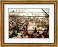 Cotton Field 1 Fine Art Print