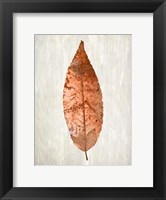 Copper Leaves 1 Fine Art Print