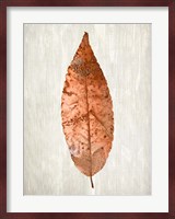 Copper Leaves 1 Fine Art Print