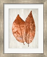 Copper Leaves 2 Fine Art Print