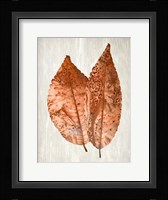 Copper Leaves 2 Framed Print