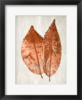 Copper Leaves 2 Framed Print