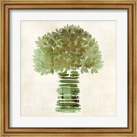 Broccoli Fine Art Print