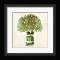 Broccoli Fine Art Print