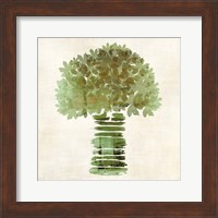 Broccoli Fine Art Print