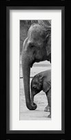Mothers Love Fine Art Print