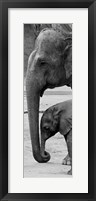 Mothers Love Fine Art Print