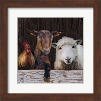 Farm Life Fine Art Print